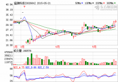 猛獅科技擬2億元參設(shè)新能源并購基金