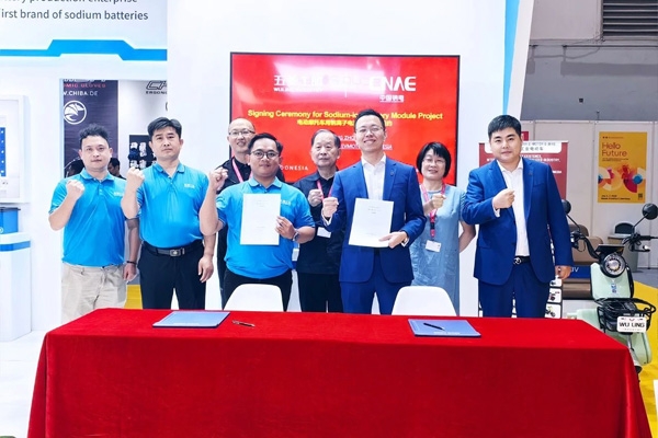 牽手五菱工業(yè)、IBAK、印尼淮海！中國(guó)鈉電在海外接連簽單