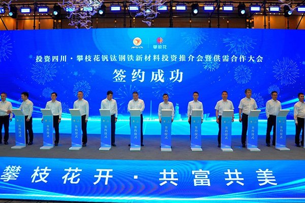 10億元！這一短流程制備釩電解液項目落地四川攀枝花