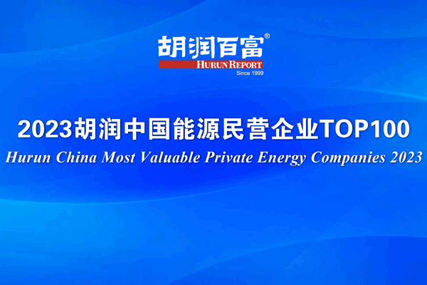 寧德時代/比亞迪/理想拿下前三！中國能源民企100強出爐