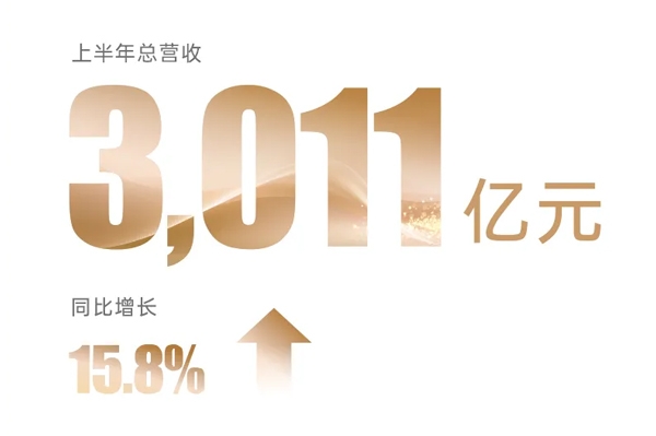 比亞迪發布半年報：營收超3011億 研發投入近202億