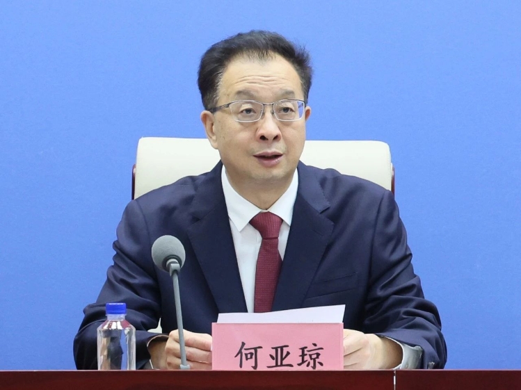 工業(yè)和信息化部消費品工業(yè)司司長 何亞瓊