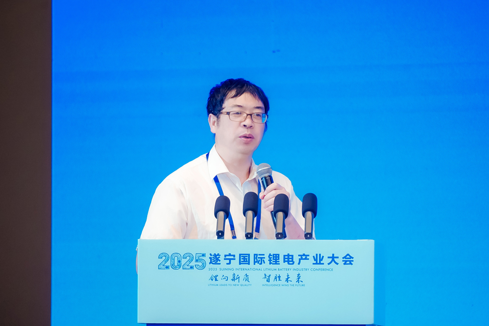 非洲科學(xué)院院士/德國薩克森科學(xué)院通訊院士/東南大學(xué)能源與環(huán)境學(xué)院教授/東南大學(xué)新一代儲(chǔ)能中心執(zhí)行主任 吳宇平