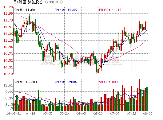 駱駝股份上半年業(yè)績大增46% 加速動力電池產(chǎn)品化