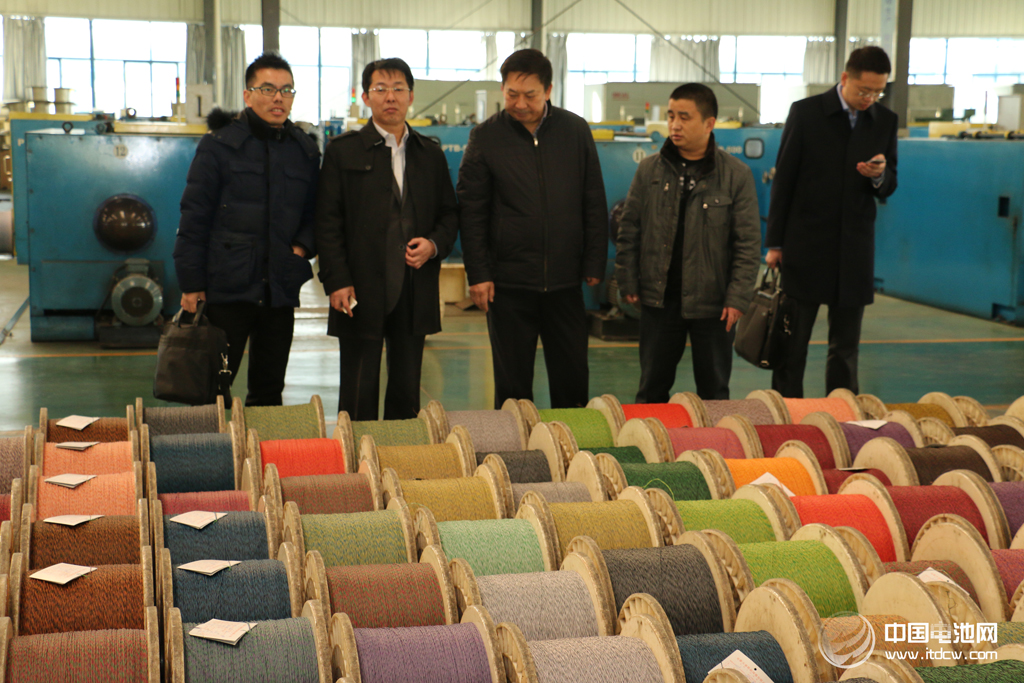 中國電池網率團參觀考察安徽天康集團鋰電新能源 中國電池網率團參觀考察安徽天康集團鋰電新能源