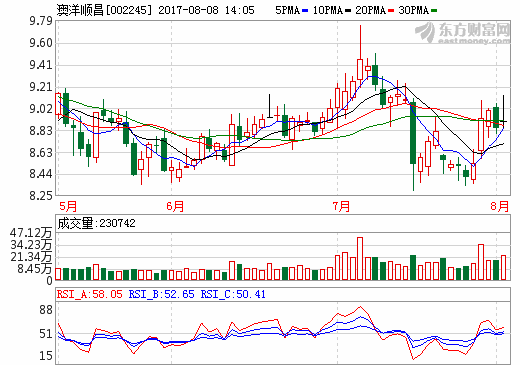 澳洋順昌上半年?duì)I收超15億 鋰電池業(yè)務(wù)營收超3億