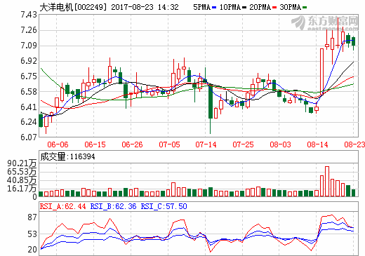 大洋電機