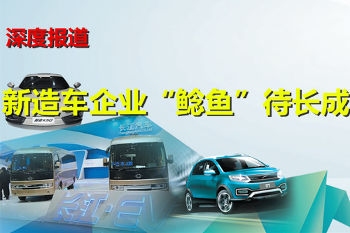 “鯰魚效應(yīng)”未顯資質(zhì)審核暫停 新造車企業(yè)“鯰魚”待長成