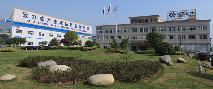 華友鈷業(yè)