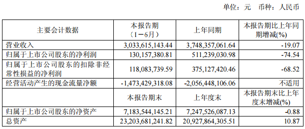 冠城大通主要會計數據和財務指標