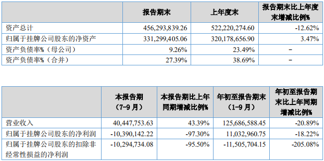 天豐電源主要財務(wù)數(shù)據(jù)