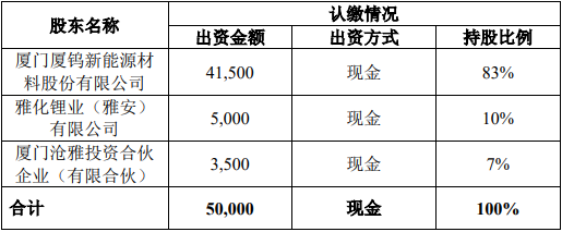 項目公司注冊資本、股權(quán)結(jié)構(gòu)(單位/萬元) 項目公司注冊資本、股權(quán)結(jié)構(gòu)(單位/萬元)