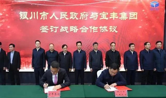 儲(chǔ)能電池,正極材料,電解液