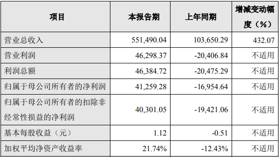 振華新材2021年度主要財務數(shù)據(jù)和指標（單位：萬元）