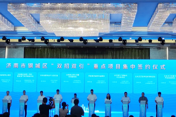新能源,儲能,天能控股集團(tuán)
