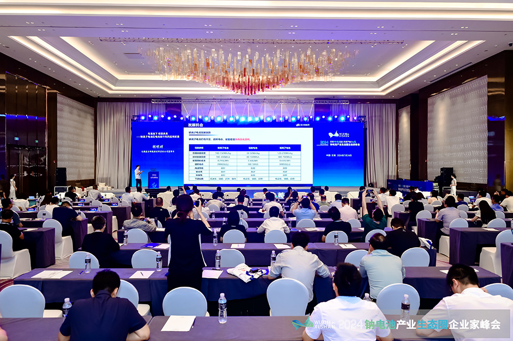  2024中國（無錫）鈉電池產(chǎn)業(yè)生態(tài)圈企業(yè)家峰會(huì)現(xiàn)場