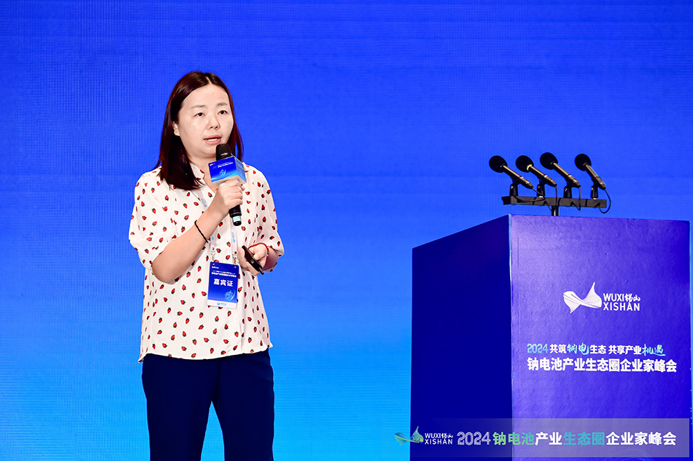 中興新材張輝：掌握鈉電池特定性能需求 構(gòu)建定制化解決方案