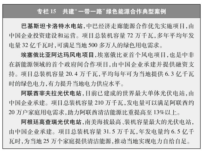 持續推動“一帶一路”綠色能源合作