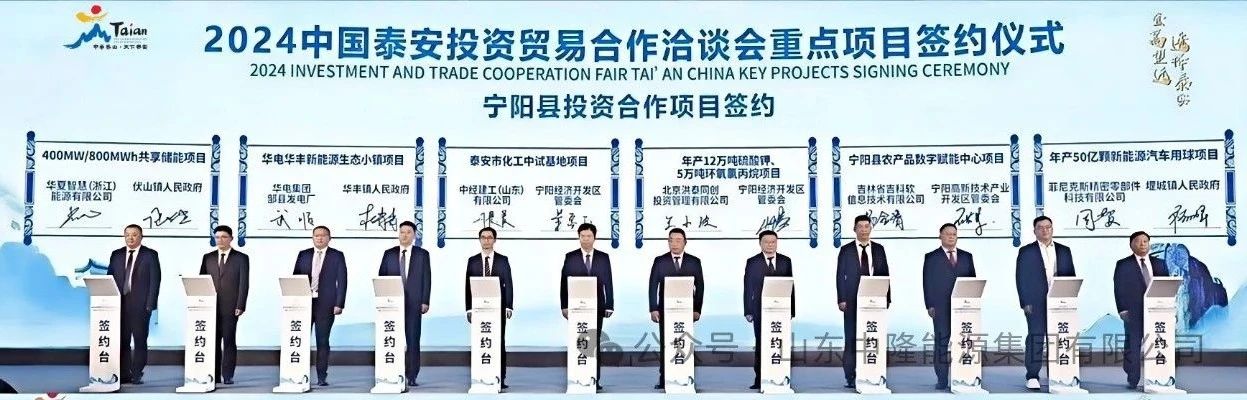 電化學(xué)儲能,儲能,磷酸鐵鋰