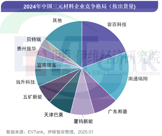 中國鋰離子電池正極材料行業(yè)發(fā)展白皮書（2025年）